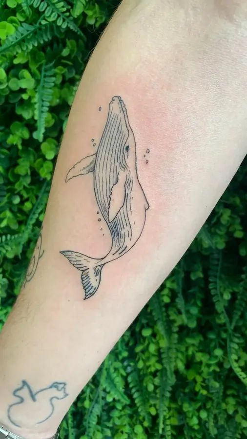 Tatuagem de baleia feita por aluno do START