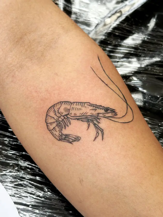 Tatuagem de camarão feita por aluno do START